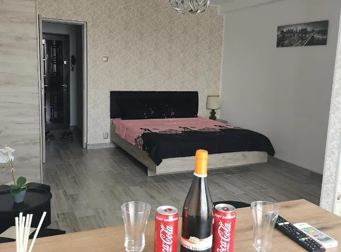 شقة Alina&marius بوخارست
